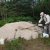 2010 Summer Projects - 2010 Rattlesnake Creek Spawning Riffle Project